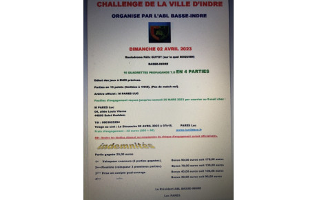 Affiche 16 quadrettes T.D.  02 avril  Basse-Indres